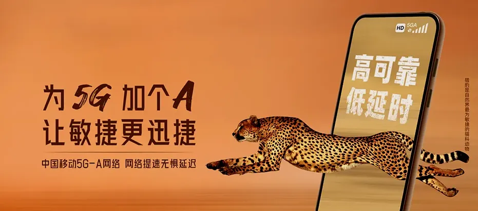 中阳县中阳县金罗镇 移动宽带